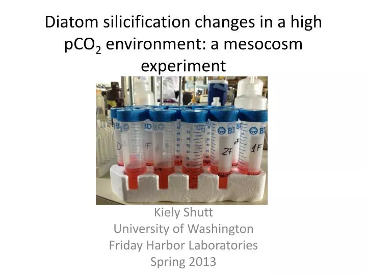 diatom silicification changes in a high pco 2 environment a mesocosm experiment