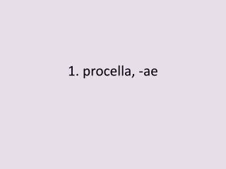 1. procella , - ae