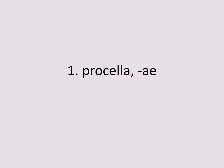 1 procella ae