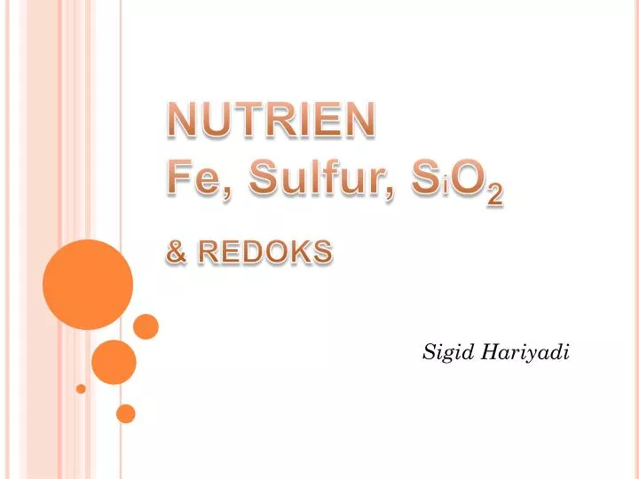 nutrien fe sulfur s i o 2 redoks