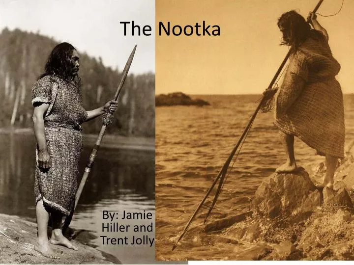 the nootka