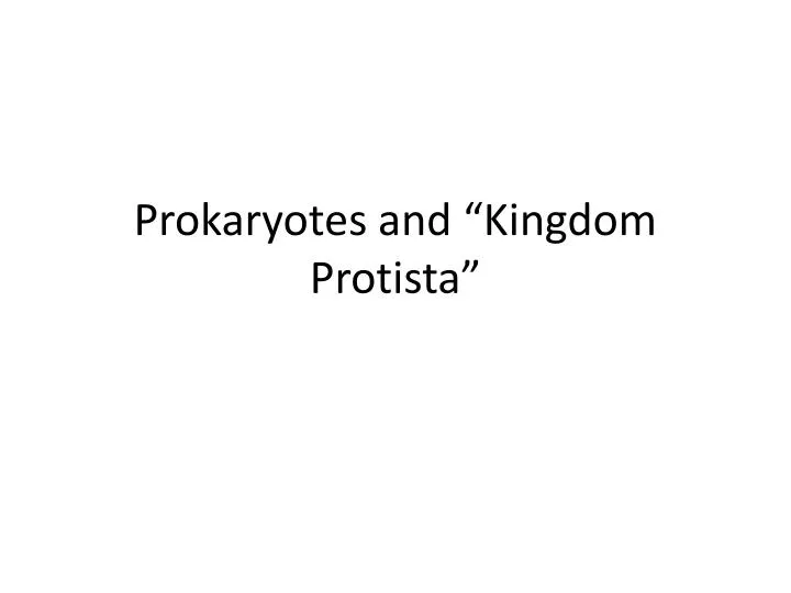 prokaryotes and kingdom protista
