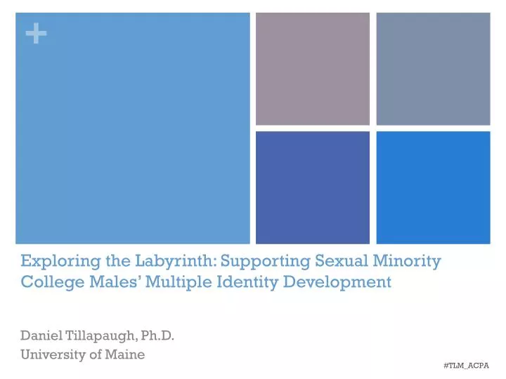 exploring the labyrinth supporting sexual minority college males multiple identity development