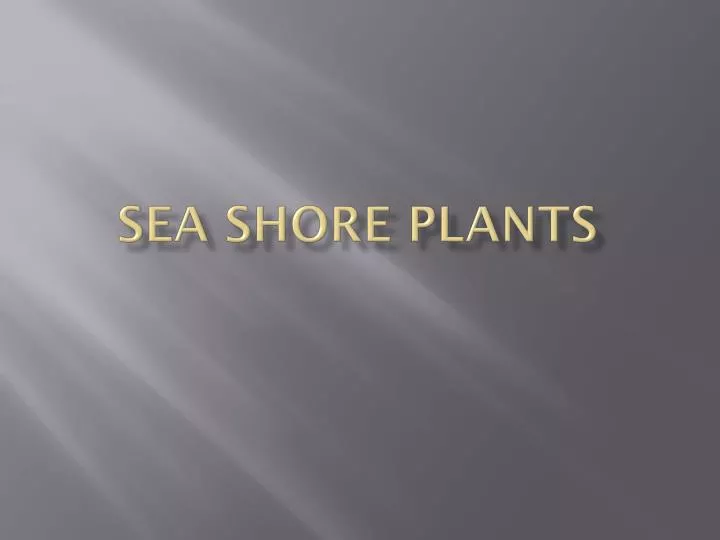 sea shore plants