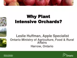 Why Plant Intensive Orchards?