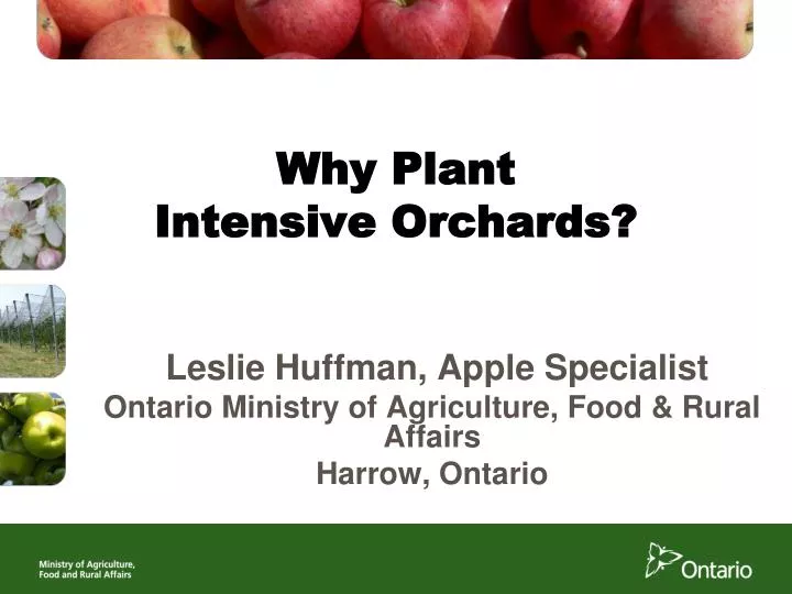 why plant intensive orchards
