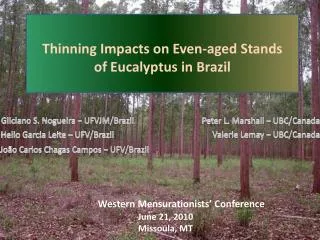 Thinning Impacts on Even-aged Stands of Eucalyptus in Brazil