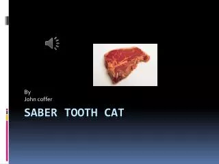 Saber Tooth C at