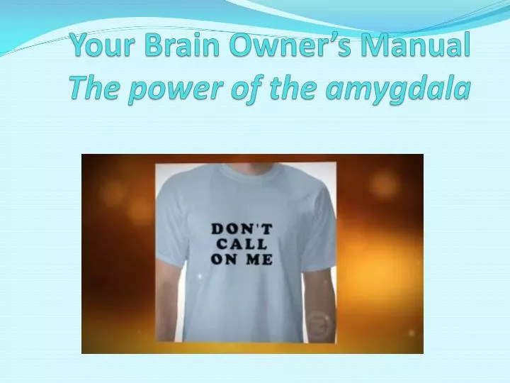 your brain owner s manual t he power of the amygdala