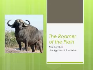The Roamer of the Plain