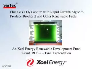 Flue Gas CO 2 Capture with Rapid Growth Algae to Produce Biodiesel and Other Renewable Fuels