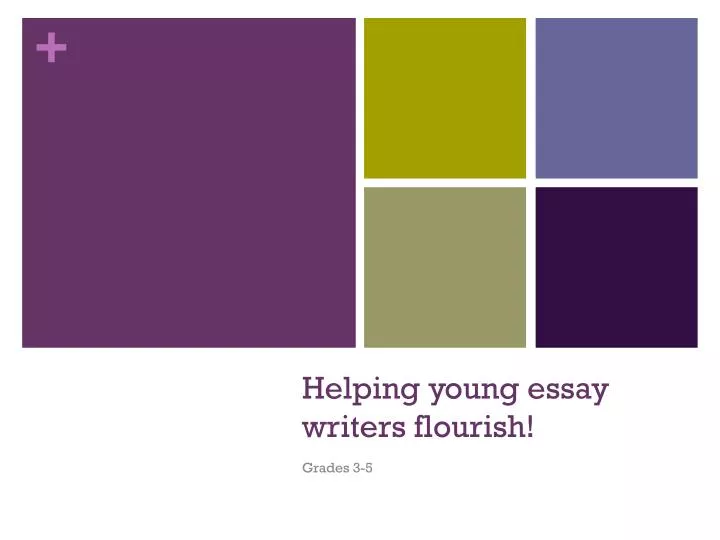 helping young essay writers flourish