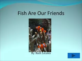 Fish Are Our Friends
