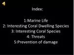 Fascinating Marine Life: Coral Species and Their Unique Residents - slide 1