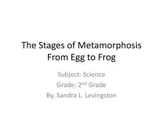 The Stages of Metamorphosis From Egg to Frog