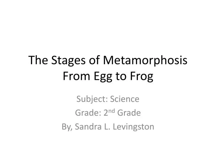 the stages of metamorphosis from egg to frog