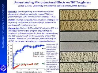 Above: tortuous crack path that emerges in anisotropic, heterogeneous microstructure.