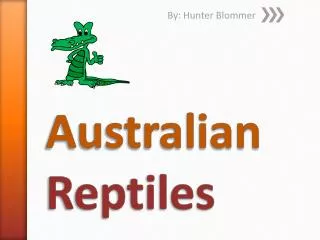 Australian Reptiles