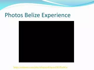 Photos Belize Experience