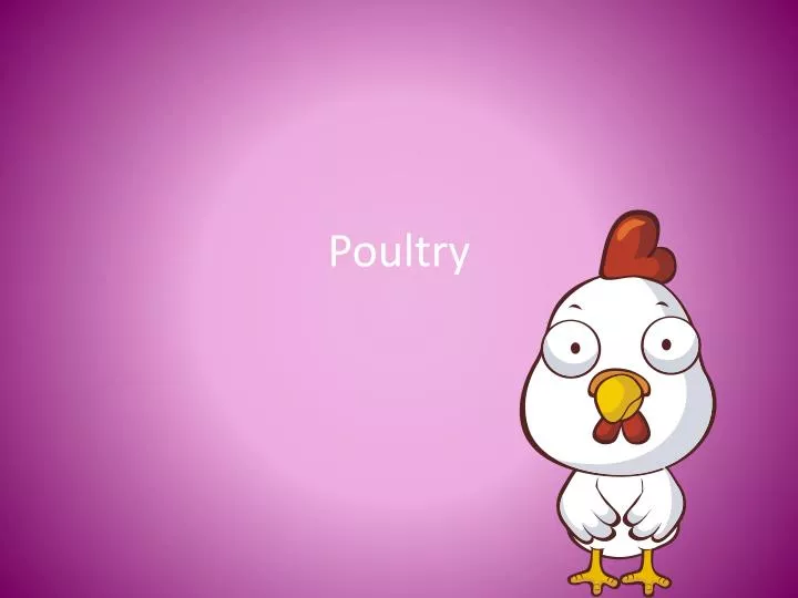 poultry