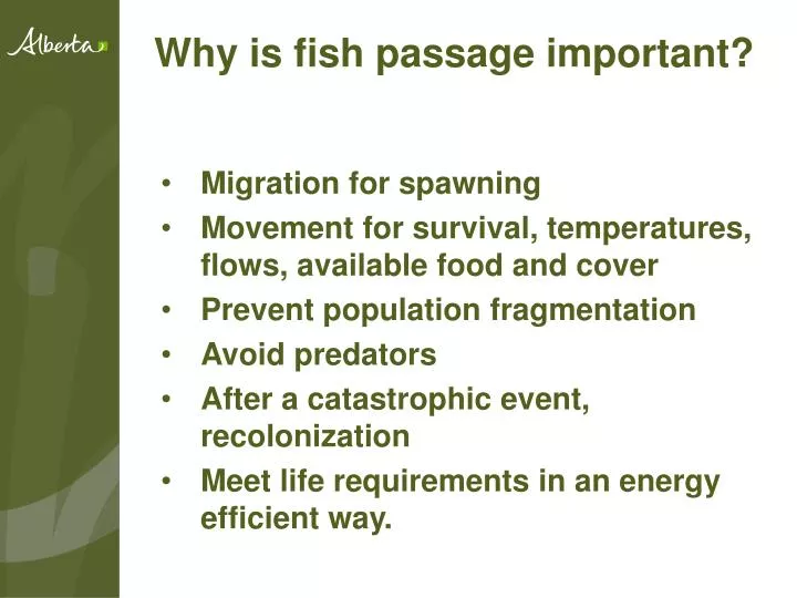why is fish passage important