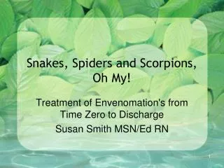 Snakes, Spiders and Scorpions, Oh My!