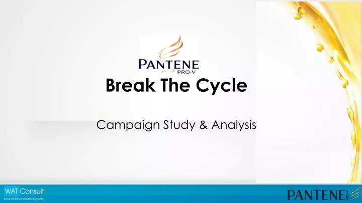 break the cycle campaign study analysis