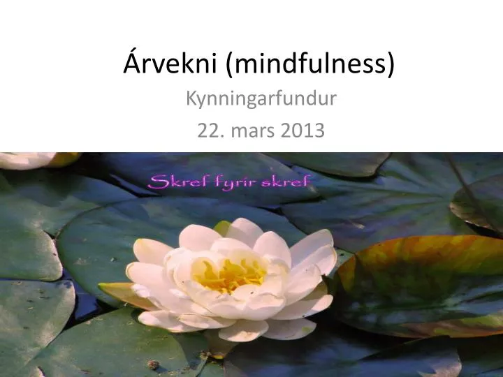 rvekni mindfulness