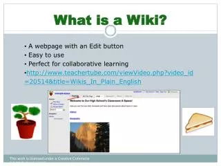 What is a Wiki?