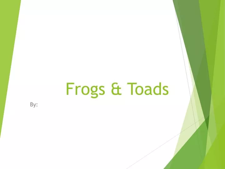 frogs toads