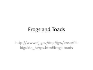 Frogs and Toads