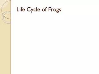 life cycle of frogs