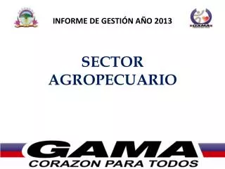 informe de gesti n a o 2013