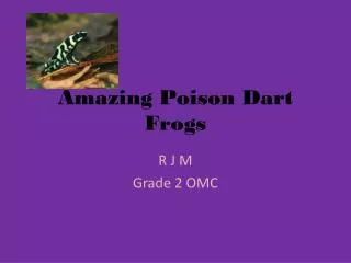 Amazing Poison D art F rogs