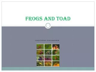 Frogs and toad