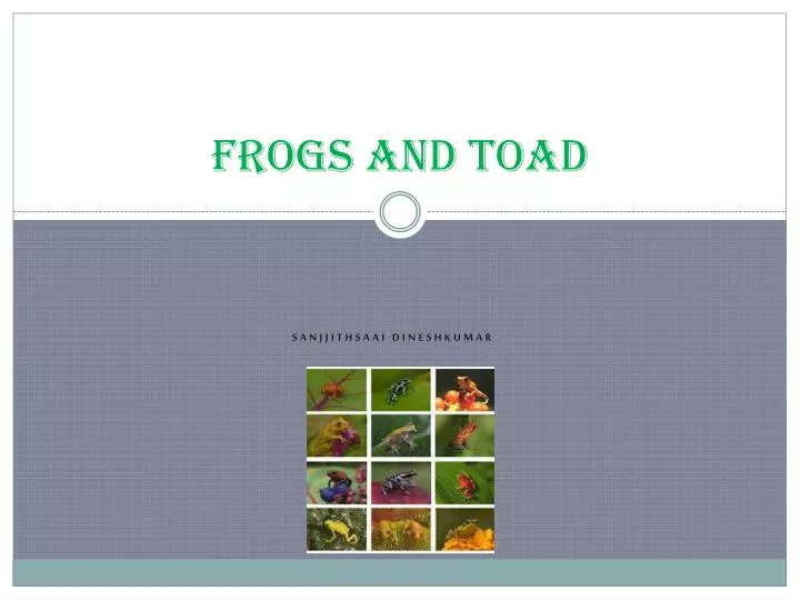 frogs and toad