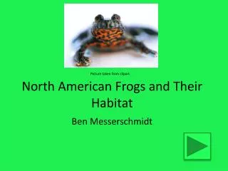 North American Frogs and Their Habitat