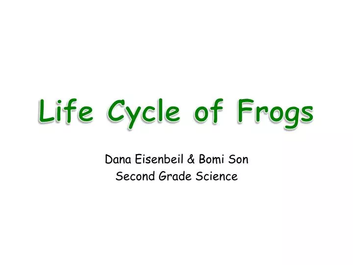 life cycle of frogs