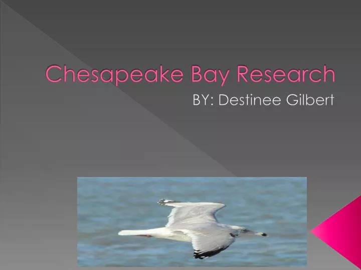 chesapeake bay research