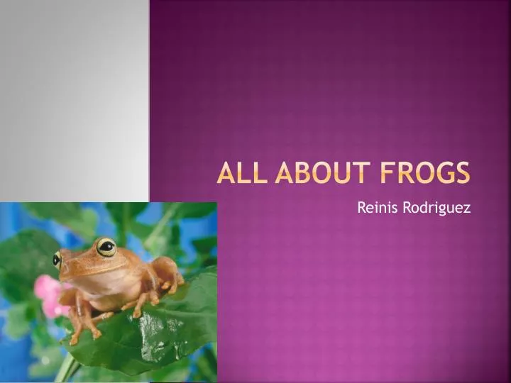 all about frogs