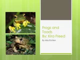 Frogs and Toads By: Kira Freed