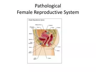 Pathological Female Reproductive System