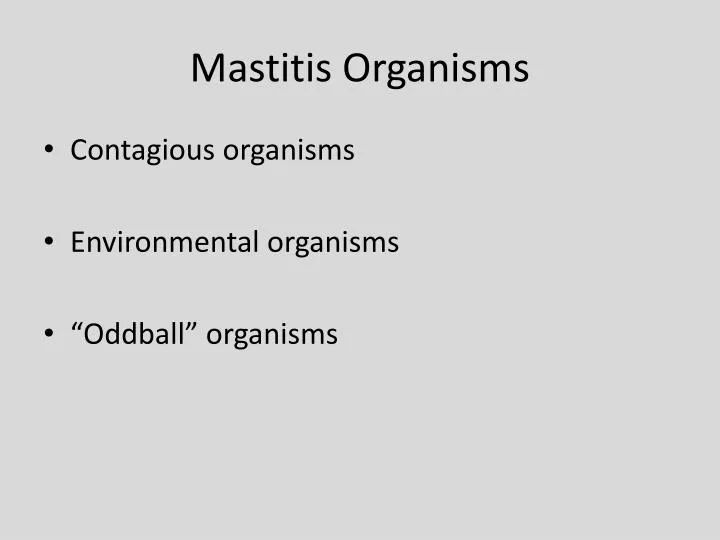 mastitis organisms