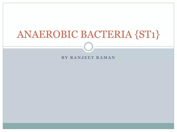 anaerobic bacteria st1