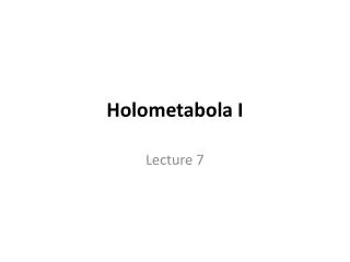 Holometabola I