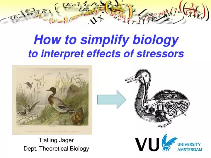 how to simplify biology to interpret effects of stressors