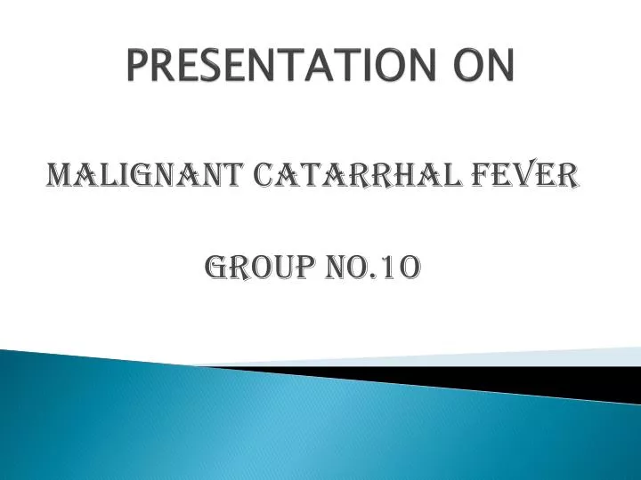 presentation on