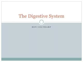 The Digestive System