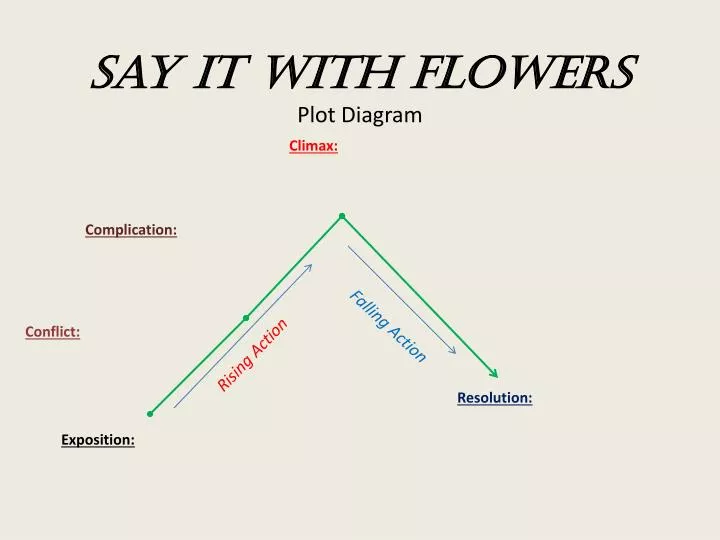 say it with flowers plot diagram