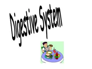 Digestive System